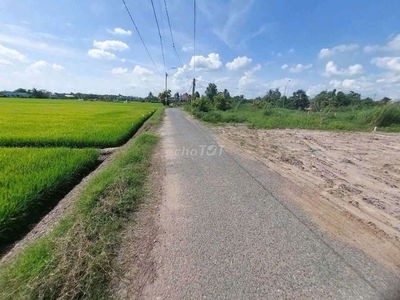 Mặt tiền đường nhựa liên ấp 2,4 long sơn cần Đước Long An