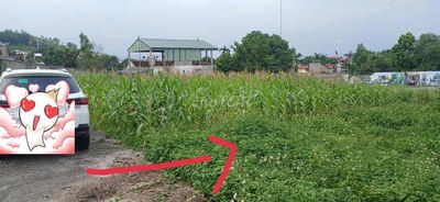 Cc nhờ bán lô đất gần 100m hộ khẩu Mỹ Đức HN.