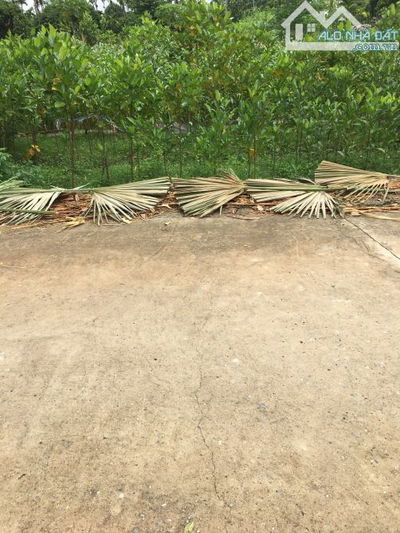 Giá siêu tốt, Cần bán 70m2, chỉ 5.3 tỷ đất đấu giá khu B Cổng Ngói, xã Đan Phượng