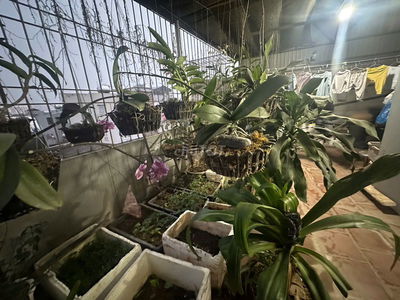 BÁN NHÀ XUÂN PHƯƠNG 40M2, 4 TẦNG, 4 NGỦ, DÂN XÂY. GIÁ 5.7 TỶ