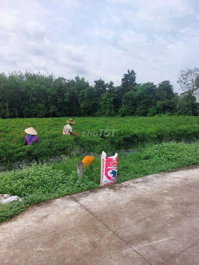 Bán lô đất đẹp ô tô vào tận chỗ, ấp Lộc An, Lộc Giang, Đức Hòa.