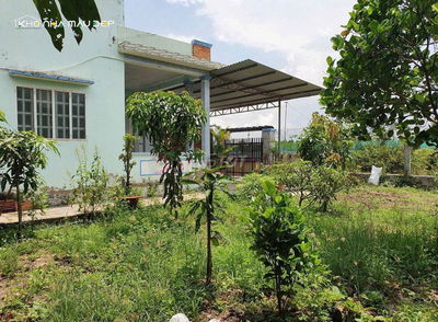 bán nhà vườn sầu riêng
