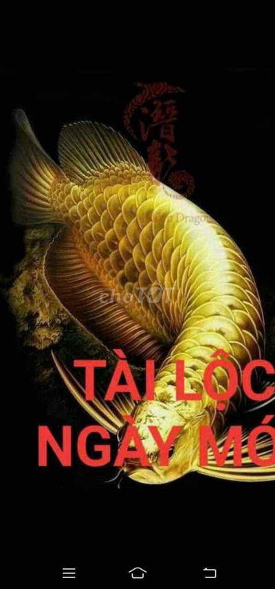 bán đất dư án khu nam hoà xuân giá tốt đầu tư