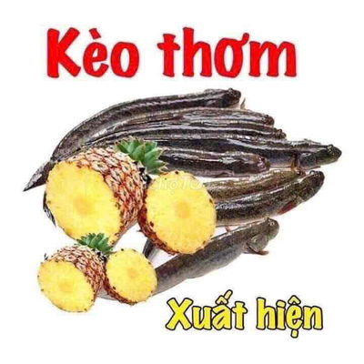 Bán đất hoà xuân vi trí đẹp