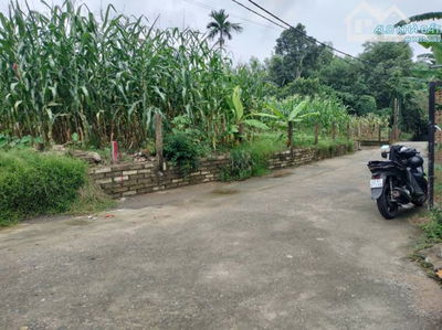 💥💥CƠ HỘI SỞ HỮU LÔ ĐẤT ĐẸP TẠI THÁI LAI – HÒA NHƠN CŨ (XÃ BÀ NÀ MỚI) CHỈ 1 TỶ X TIỂU HỌC