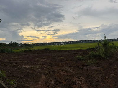 Đất view ruộng full thổ cư gần thành phố