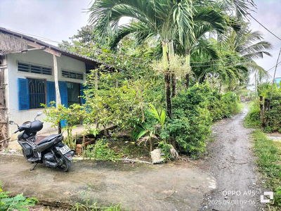 1300m Nhà và đất cây lâu năm. Ngay Cầu Bình Xuân, Gò Công Tiền Giang.