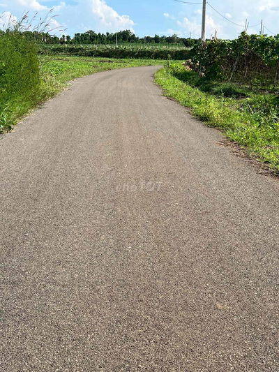 bán đất Đá Bạc  Đường nhựa sát tỉnh lộ vòng xoay ngã 6