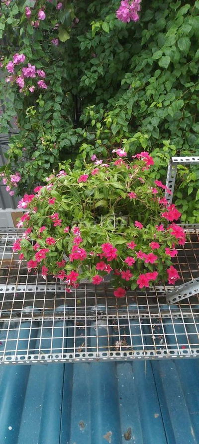 Nhà xin có số quận