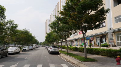 Cho thuê căn hộ Sunview Town Thủ Đức giá tốt ở ngay