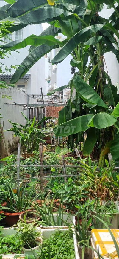 Đất full thổ cư nở hậu 7m khu dân cư đông gần chợ thạch Đà gò vấp
