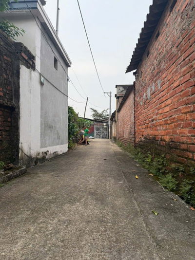 Chính chủ nhờ bán ô đất 40m tại xã Tiền Yên cũ nay là xã Sơn Đồng mới đường ô tô đỗ cửa.