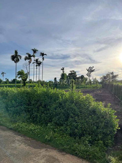 1163m2 đất chính chủ Tp Buôn Ma Thuột, Đăk Lắk