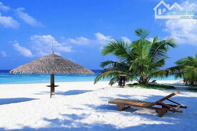 🌿 SIÊU PHẨM LÔ ĐẤT ĐẸP VÀ RỘNG - NGAY GẦN BIỂN CỬA ĐẠI – XÃ BÌNH DƯƠNG, HUYỆN THĂNG BÌNH