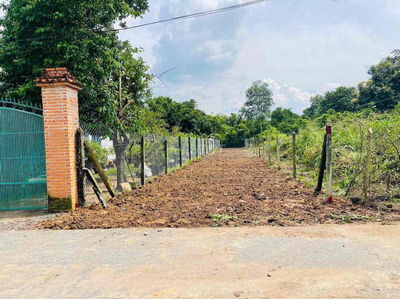 Bán 278m2 đất làm nhà vườn mặt tiền nhựa Phú Hòa Đông, Củ Chi