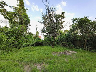 Đất thổ cư Tu Lễ, Kim Đường, 190m2, MT7.5m, nở hậu, 1.71 tỷ Ứng Hòa