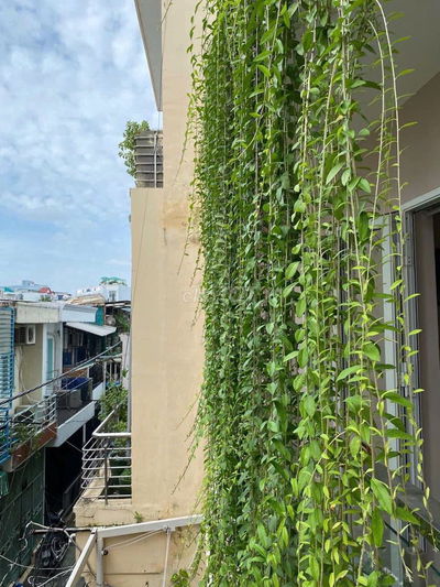Biệt thự mini trung tâm Q7 gần Q4, Q1