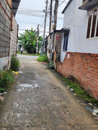 Bán đất sổ riêng ngay ngã ba bình ý