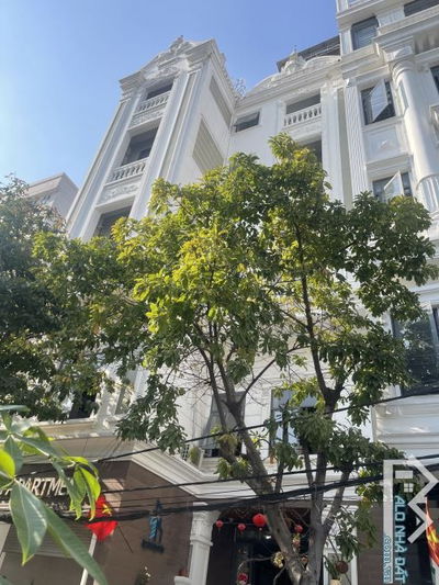 BÁN CĂN HO DỊCH VỤ 446M ĐẤT 6 LẦU, 87 PHÒNG, GIÁ 100 TỶ THƯƠNG LƯỢNG