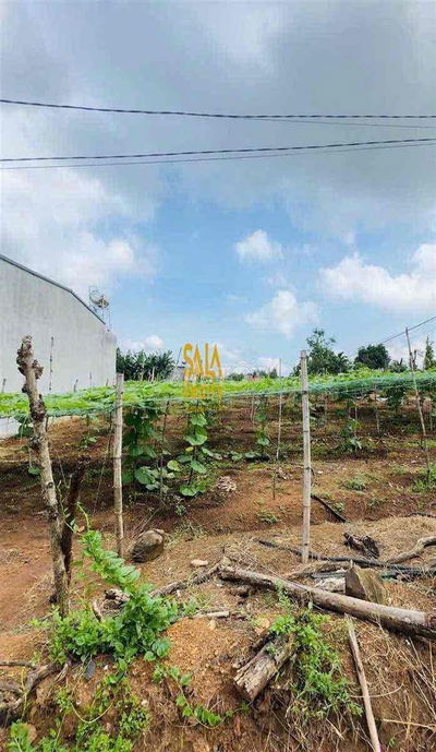 💥Đất thổ cư phường Buôn Ma Thuột (thôn 8 CưEbur) - 5 x 25m cạnh Lee Ho