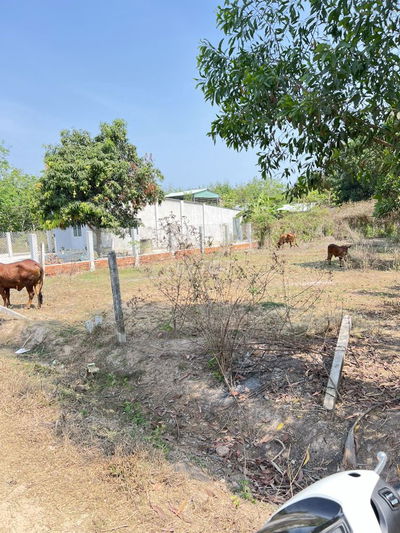 Đất thổ cư 287m2 xã đồng khởi châu thành tây ninh