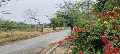 2592M2 ĐẤT CLN - KO QUY HOẠCH - GẦN CẢNG PHÚ HỮU - GIÁ RẺ ĐẦU TƯ !