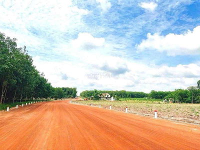 CHÍNH CHỦ CẦN BÁN GẤP 260m2 + 100 THỔ CƯ NGAY KCN CHƠN THÀNH
