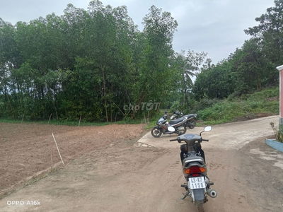 Lô đất trồng cây sổ đỏ thôn ninh an. Hoà nhơn đà nẵng