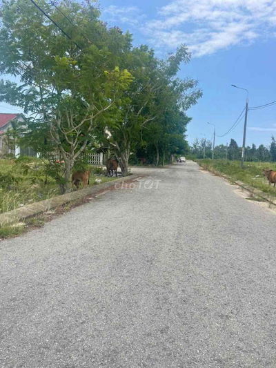 cần Bán