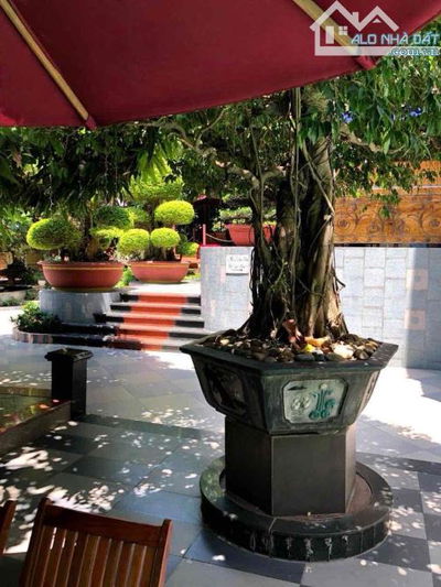 BIỆT THỰ DƯƠNG ĐÌNH NGHỆ GẦN HỒ NGHINH 125 Tỷ tl