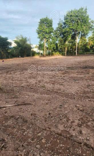 Chính chủ bán gấp lô đất mặt tiền 1000m đường Cây Thông Ngoài,Cửa Dương,vị trí đắc địa,sinh lời cao