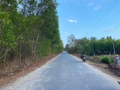 5 Sào đất có suối – Vị trí vàng phát triển Farmstay, Homestay