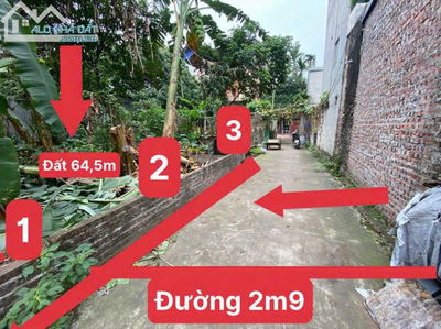Chính chủ cần bán 2 lô đất tại Phượng Đồng, xã Phụng Châu, Chương Mỹ, Hà Nội