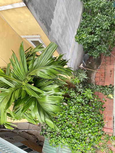 Phòng trọ 25m2 , Bạch Mai , Hà nội .