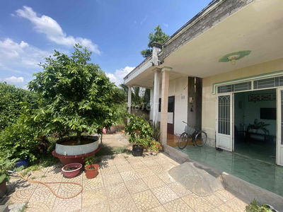 ĐẤ𝐓 𝐓𝐇Ổ 𝐂Ư 𝟏𝟐𝟔𝐌𝟐 𝐂Ó 𝐍𝐇À 𝐂Ấ𝐏 𝟒, 𝐆𝐈Á 𝐓Ố𝐓 𝐇𝐈Ệ𝐏 𝐏𝐇ƯỚ𝐂, 𝐍𝐇À 𝐁È