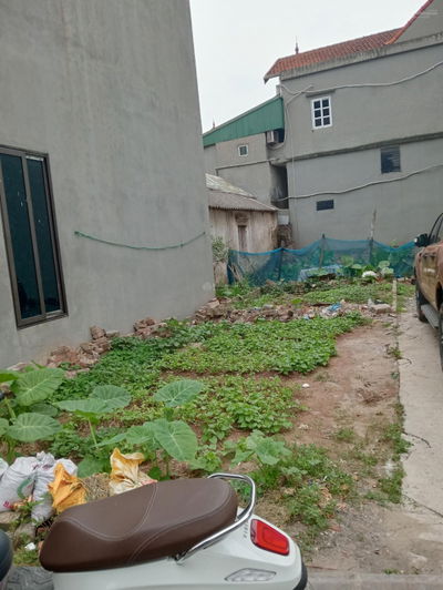 Chính chủ miễn trung gian,đất 68m2- 6,5tỷ Thuận Tốn-Bát Tràng.Tiện ích ngập tràn,bạt ngàn công viên