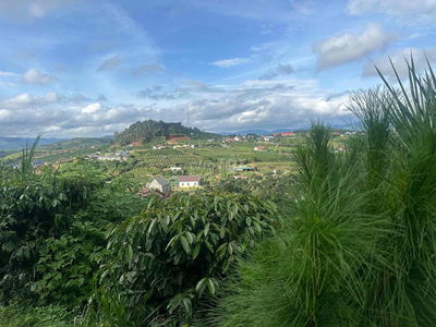 Cho Thuê Nhà và Đất (1.200m2)
