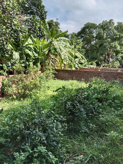 Bán đất Kim Ngưu, 24 tỷ,193m2, mặt tiền9.88m, sổ hồng sẵn Hai Bà Trưng