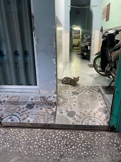 Cho thuê Trọ, 1 Triệu, Phường Tân Bình