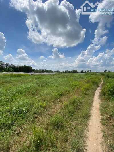 7400 m2 mặt tiền kênh ngay cầu Ba Tri, Vĩnh Lộc B,