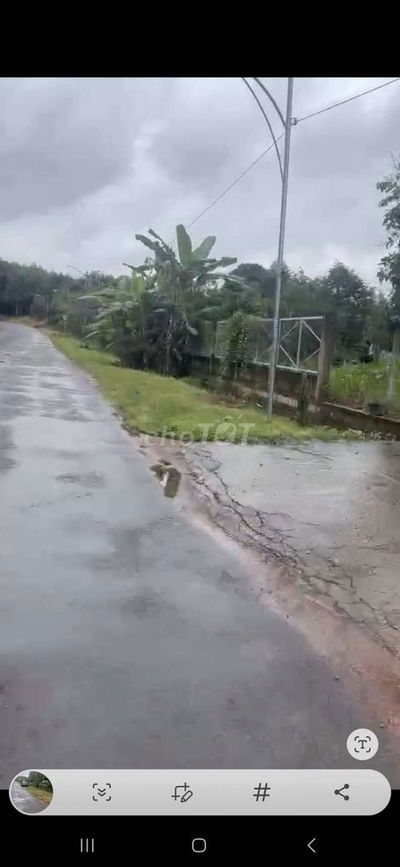 Bán vườn mít .Dt 1090m. Đất đẹp- giá tốt