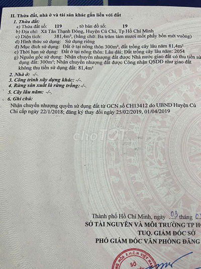 Chinh chủ ban đất Tân Thạnh Đông, Củ Chi, DT 10x39m,