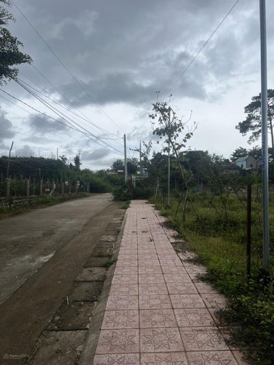 Siêu phẩm, 610m2 đất ở, view triệu đô, hàng hiếm ven Đà Lạt, giá bán thu hồi vốn.