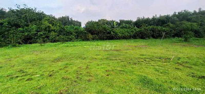 Bán Gấp hơn 3.800m2 đất tại Long An- Long Thành