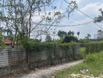 Hẻm xe hơi Vườn Lài, An Phú Đông, Q12, dt 239m2, ngang 9m, giá 8.5 tỷ