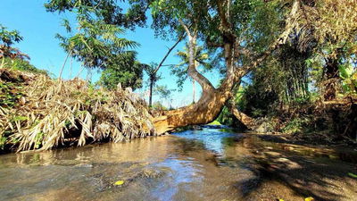 Bán gấp 2,5 sào -100TC- View suối nước qn