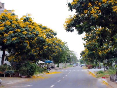 CHO THUÊ CĂN HỘ DV FULL NỘI THẤT BAN CÔNG CHÀ BÁ LUÔN.