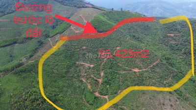 250tr/ha Gần 10ha Đất Trồng Keo, Sổ Hồng call ***