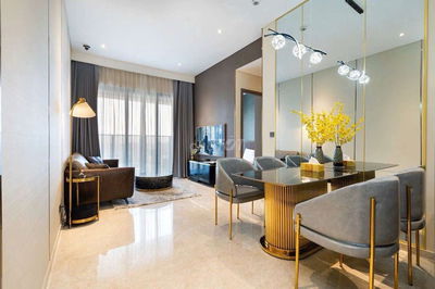 Cho thuê căn hộ Republic Plaza 50m2 , 1PN full nội thất Tân Bình.