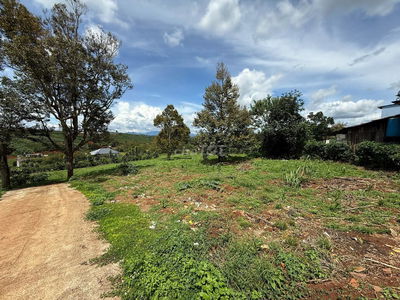 BÁN ĐẤT TẠI THỊ TRẤN DI LINH (LÂM ĐỒNG) - VỊ TRÍ ĐẸP , TIỀM NĂNG